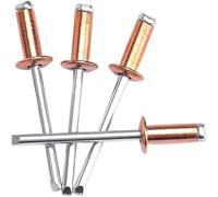 Rivets Aveugles en Aluminium, Rivets aveugles Pop 10 pièces cuivre acier ouvert Standard décoratif M2.4-M4.8(30mm,M3.2)