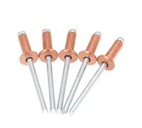 Rivets aveugles en cuivre 30/50 pièces, Rivets en acier et cuivre Bronze de Type ouvert à tête dôme, anticorrosion (Color : 4.8x10 mm, Size : 30Pcs)