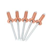 Rivets aveugles Lot de 30 ou 50 rivets aveugles en cuivre, tête bombée, type ouvert, rivets en laiton bronze anticorrosion(50Pcs,4.0x20 mm)