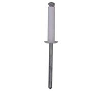 Rivets Épanouis Blancs 4 X 20 Mm