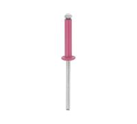 Rivets épanouis roses, Ø4x20 mm, 20 pièces Restagraf