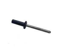Rivets étanches TP Alu 4,8x16 mm RAL 7016 gris anthracite par 100