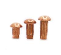 Rivets pleins à tête de brasero moletés, Rivet solide moleté à tête ronde, bouton en cuivre GB827 for plaque signalétique d'étiquette, M2-M4,50 pièces(4mm)