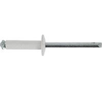 Rivets rivets epanouis peints Restagraf Ref: 4711