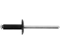 Rivets rivets epanouis peints Restagraf Ref: 4720