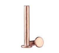 Rivets solides, Lot de 20 rivets et clous en cuivre à tête plate, plusieurs tailles(M3x20 mm)
