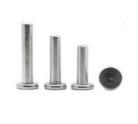 Rivets solides, Rivets pleins en aluminium M2-M8 à tête plate, longueurs multiples, lots assortis, paquet de plusieurs tailles, norme GB109(4mm,M5 20pcs)