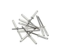 rivets trigrip de 4.8 x 22 blanc pour plaque mineralogique -