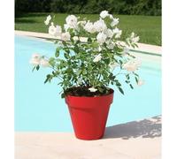 RIVIERA Pot de fleurs Soleilla - Rond - Ø 60 x 53,6 cm - Rouge