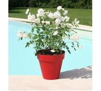 Riviera Pot De Fleurs Soleilla - Rond - Ø 49 X 44.8 Cm - Rouge Rouge