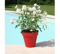 RIVIERA Soleilla Pot de fleurs - Rond - Ø 39,2 x 35,8 cm - Rouge