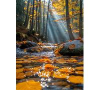 RivièRe Diamond Painting Adulte, Paysage Diamond Painting, DIY Round Rhinestone Crystal Point de Croix complet kit, 5D Mosaic Art Kit Pour Enfant et débutants, Murale Décoration Maison 25x35cm 0U-75