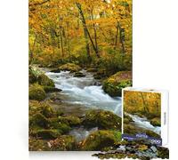 Rivière Oirase en forêt d'automne Puzzle de 1000 pièces pour Adultes Jeu de réflexion Stimulant Amusant à Partager Qualité supérieure Cadeau Exquis (50x75cm)
