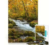 Rivière Oirase en forêt d'automne Puzzle de 1000 pièces pour Adultes Jeu de réflexion Stimulant Amusant à Partager Qualité supérieure Cadeau Exquis (50x75cm)