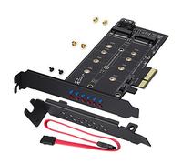Rivo M.2 SATA III et M2 vers carte adaptateur PCIe 3.0 x 4 - Ajoutez M.2 SSD périphériques pour PC ou carte mère, prise en charge de 1 SSD M.2 SATA III (B Key) et Deuxième SSD M.2 PCIe 3.0 (M-Key)