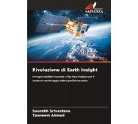 Rivoluzione di Earth Insight: Immagini satellitari avanzate e Big Data Analytics per il moderno monitoraggio della superficie terrestre