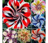 RIVORDE 100 Graines d'hibiscus, Graines De Fleurs, Belles Couleurs, Adaptées à La Plantation De Jardins Et à La Décoration De Pièces,Color Mixing