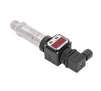 RIZGHWOY Capteur de Transducteur de Pression, Conception Compacte en Acier Inoxydable pour un Contrôle Précis du Processus, Sortie 0-4Mpa 4-20mA