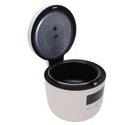 RIZGHWOY Casserole électrique Multifonctionnelle, Cuiseur à Riz Antiadhésif 3L avec Panier Vapeur pour Nouilles Ramen, Soupes, Pâtes et fondue. (Prise européenne 220 V)