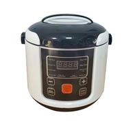 RIZGHWOY Cuiseur à Riz Portable Mini Cuiseur de Riz Cuisinier Transport à Riz Cuiseur de Riz pour Voiture Camping avec une Doublure à la Fonction Chaude Cuit la Soupe à L'avoine des Pâtes (12V)