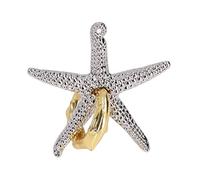 RIZGHWOY Jouet de Puzzle de Déverrouillage D'étoile de Mer en Métal Portable, Améliore Les Compétences Pratiques, Jouet de Puzzle IQ pour Adultes