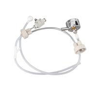 RIZGHWOY Kit de Système de CO2 DIY pour Aquarium planté, Générateur de CO2 avec Valve de Pression et Manomètre, pour la Croissance des Plantes Aquatiques à Faible Coût