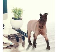 RIZGHWOY Modèle de Simulation de Modèle d'animaux en Plastique à Zone Fixe Premium Obligation éducative pour Les Amateurs d'animaux (Cheval Blanc du Tennessee)