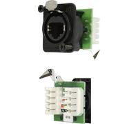 RJ45 connecteur de données série etherCon® D Neutrik NE8FDV-YK-B RJ45 femelle, droit NE8FDV-YK-B Pôle: 8P8C noir 1 pc(s)