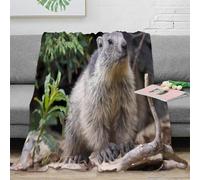 RJAVAGFZL 3D Imprimé Sauvage Animal Plaid de Voyage Microfibre Nature Wildlife scène Couverture de Lit Respirante pour Étudiants Gammers Jeunes Adultes 40x50inch(100x130cm)