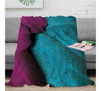 RJAVAGFZL 3D Imprimé Vif Feather Drops Couverture Polaire Microfibre Chaud Colorful Waterdrop Jeté de Lit Légère pour Étudiants Locataires Jeunes Adultes 40x50inch(100x130cm)