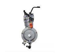 RJhXzK Carburateur for générateur Double Essence GPL NG CNG 2kW, 2,5kW, 3kW, 168F, 170F, GX160, GX200, 168F, 170F,