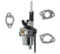 rjpbk Carburateur for souffleuse à Neige, Convient for Les Moteurs de 921024, 921030, 921028, 921317 L15D 254cc et 20001171 carburateur de souffleuse à Neige