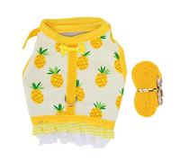 Rjrjc Ensemble Gilet pour Lapin, avec Sangles de vêtement en Tissu et Cordon, à Utiliser sur Un Lapin Pendant Les promenades, en Polyester, Comprend Un Gilet et Un Cordon (L)