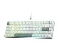 RK ROYAL KLUDGE C68 Clavier mécanique effet Hall, filaire RGB commutateurs magnétiques 65% HE, remplaçable chaud, déclenchement rapide réglable, taux rafraîchissement 8kHz, pilote Web Pro pour Mac&Win