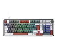 RK ROYAL KLUDGE C98 DE HE Clavier de jeu mécanique, interrupteur magnétique à effet Hall, remplaçable à chaud 95 % RVB filaire, actionnement rapide réglable, taux de requête 8K, pilote Web Pro Mac
