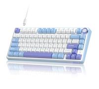 RK Royal KLUDGE Clavier mécanique Filaire R75 avec Bouton de Volume, Montage sur Joint de Clavier de Jeu personnalisé à 75%, rétroéclairage RVB avec Logiciel, Profil Cerise, Interrupteur argenté