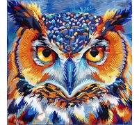 RKFLGEW Animaldiy Latch Hook Rug Kit Chouette De Dessin Animé Kit De Broderie Pour Coussin 3D,Kits De Matériel Pour Tapis,Coussin,Taie D'Oreiller,Crochet,Pour La Maison 43x43cm