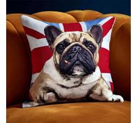 RKFLGEW Diy Crochet Latch Hook Animal Bouledogue De Dessin Animé Kit De Crochet À Faire Soi-Même，Taie D'Oreiller，Tapis，Coussin Imprimé，Fil À Crocheter，Broderie，Décoration，Débutant 43x43cm