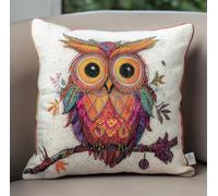 RKFLGEW Diy Latch Hook Cushion Kit Animal Hibou Coloré Kit De Crochet À Faire Soi-Même，Taie D'Oreiller，Tapis，Coussin Imprimé，Fil À Crocheter，Broderie，Décoration，Débutant 43x43cm