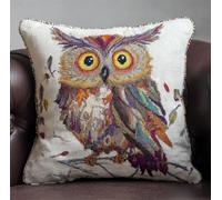 RKFLGEW Diy Latch Hook Enfant Animal Hibou Fantastique Kit De Broderie Au Crochet Pour Coussin Coussin Fait Main À Faire Soi-Même，Ensemble De Broderie Au Crochet Et Taie D'Oreiller 43x43cm