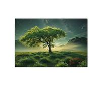 RKGHDCX Image sur Toile forêt-forêt, arbres Art mural Tableau sur toile affiches-paysage Impression de nature sur toile-Decoration Murale Salon Moderne 50x75cm20 x30 Sans cadre