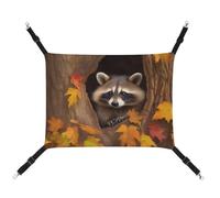 RKJVB Hamac respirant pour animal domestique avec sangles réglables - 42 x 33 cm - Motif raton laveur dans le trou d'arbre d'automne - Lit réversible à suspendre pour petits lapins, furets, cochons