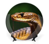 Rkklvbns Assiettes décoratives Cobra Snake de 17,8 cm en porcelaine anglaise avec support de présentation, assiettes à dessert pour décoration murale de la maison et du bureau