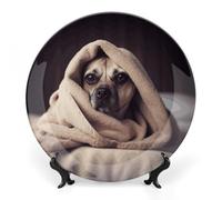 Rkklvbns Assiettes décoratives en porcelaine anglaise avec support de présentation, assiettes à dessert pour décoration murale de maison ou de bureau - Motif chien dans une couverture - 20,3 cm