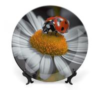 Rkklvbns Assiettes décoratives en porcelaine anglaise de 20,3 cm avec support de présentation, assiettes à dessert pour décoration murale de maison et de bureau