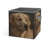 Rkklvbns Golden Retriever - Grand panier de rangement pliable avec poignées, en tissu pour organiser livres, couvertures, jouets
