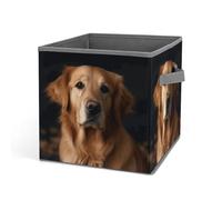 Rkklvbns Golden Retriever - Grand panier de rangement pliable avec poignées, en tissu pour organiser livres, couvertures, jouets