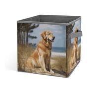 Rkklvbns Golden Retriever - Grand panier de rangement pliable avec poignées, en tissu pour organiser livres, couvertures, jouets