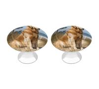 Rkklvbns Golden Retriever Lot de 2 poignées d'armoire modernes avec trou central de 2,8 cm pour armoires de cuisine, chambre à coucher