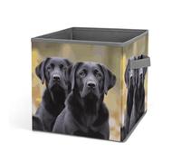 Rkklvbns Grand bac de rangement pliable avec poignées pour chien labrador retriever, en tissu pour organiser livres, couvertures, jouets
